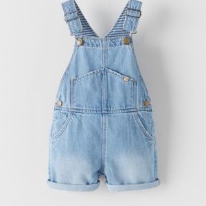 Zara denim overalls